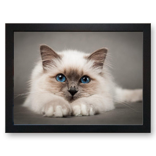 Load image into Gallery viewer, Birman Burmese Cat Cushioned Lap Tray - my personalised lap tray | mooki   -   
