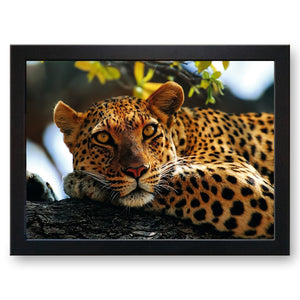 Leopard Cushioned Lap Tray