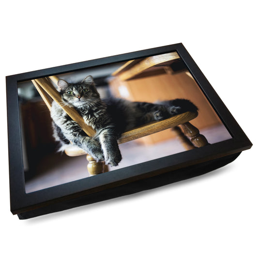 Fluffy Long-Haired Tabby Cat Relaxing on a Chair Cushioned Lap Tray