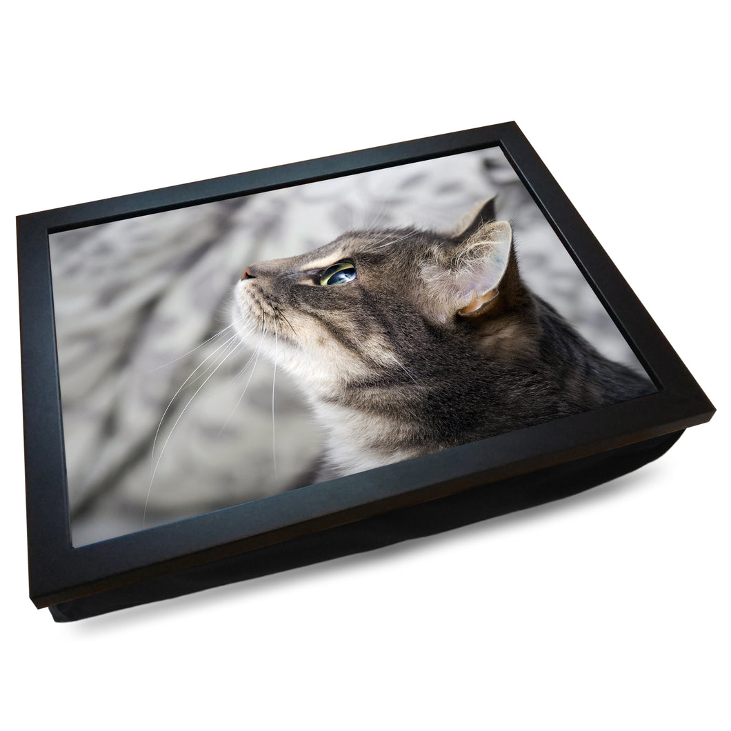 Focused Grey Tabby Cat Looking Up Cushioned Lap Tray
