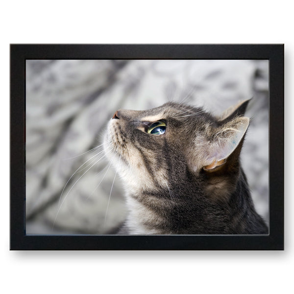 Load image into Gallery viewer, Focused Grey Tabby Cat Looking Up Cushioned Lap Tray

