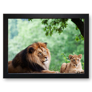 Lion and Cub Cushioned Lap Tray