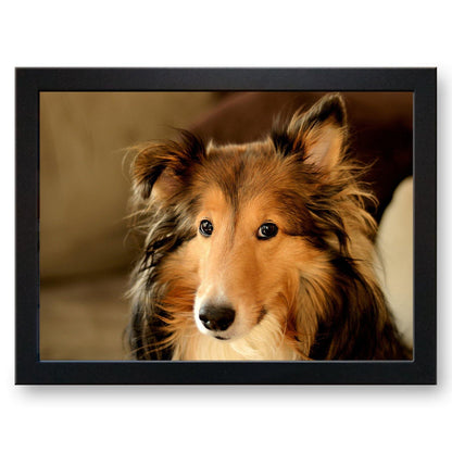 Collie Dog Cushioned Lap Tray - my personalised lap tray | mooki   -   