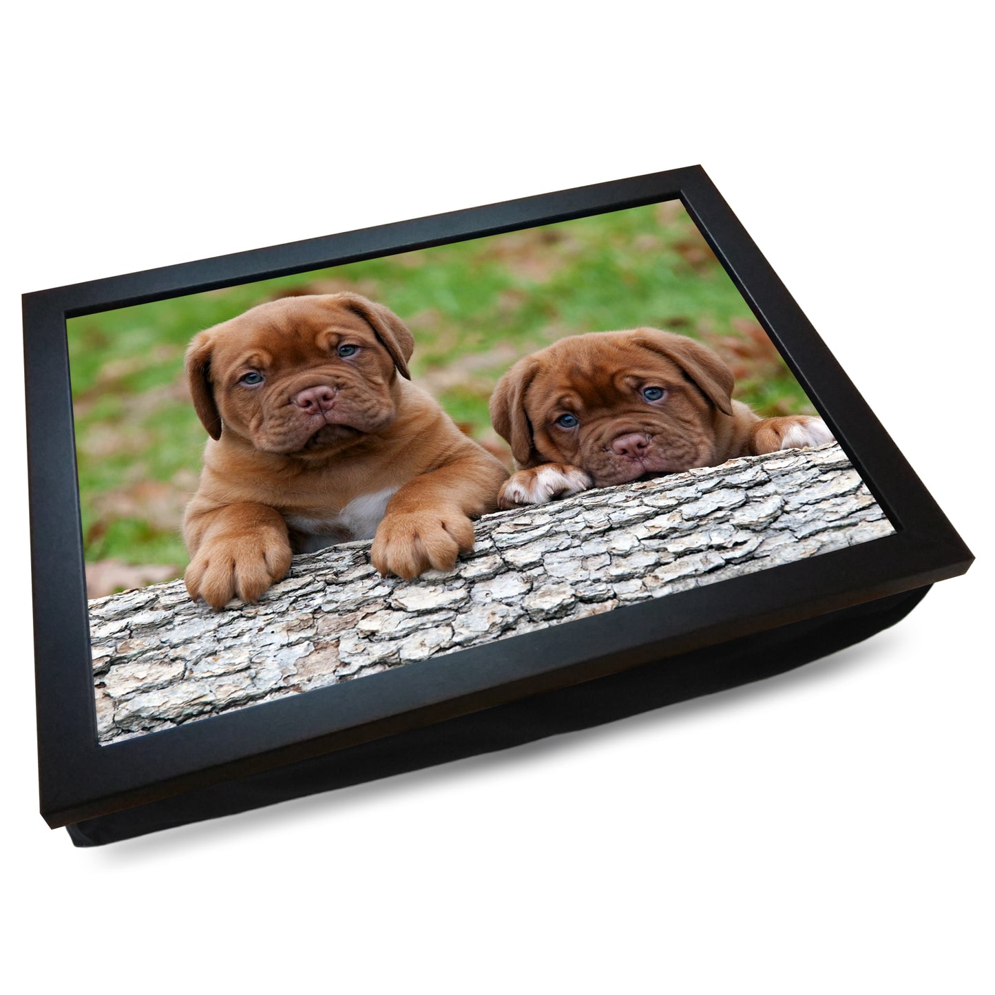 Pair of Bulldog Puppies Cushioned Lap Tray