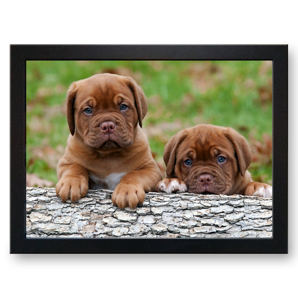 Load image into Gallery viewer, Pair of Bulldog Puppies Cushioned Lap Tray
