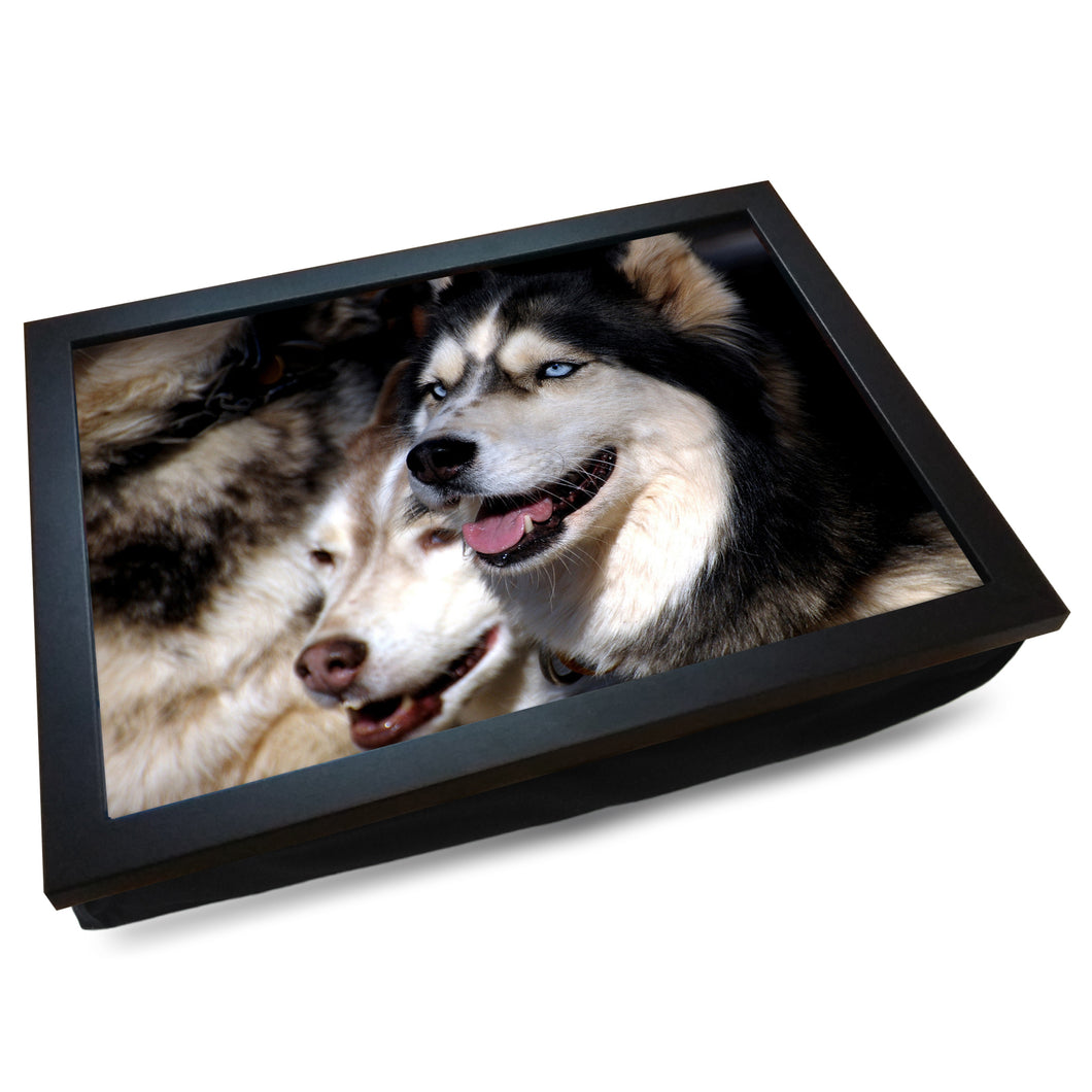 Husky Dogs Cushioned Lap Tray - my personalised lap tray | mooki   -   