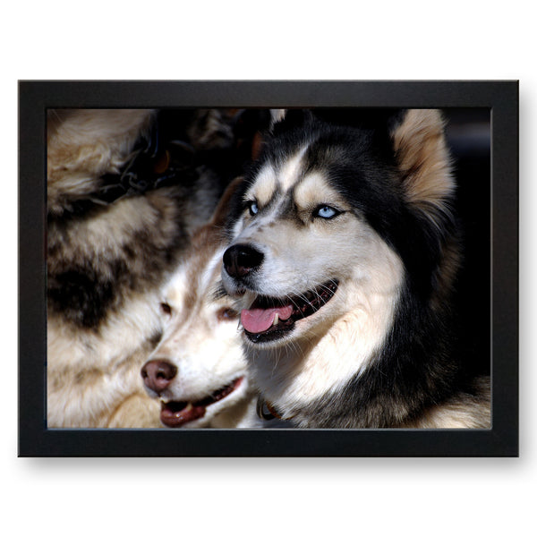 Load image into Gallery viewer, Husky Dogs Cushioned Lap Tray - my personalised lap tray | mooki   -   

