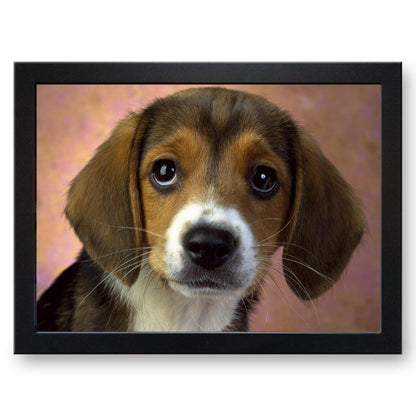 Beagle Puppy Cushioned Lap Tray - my personalised lap tray | mooki   -   