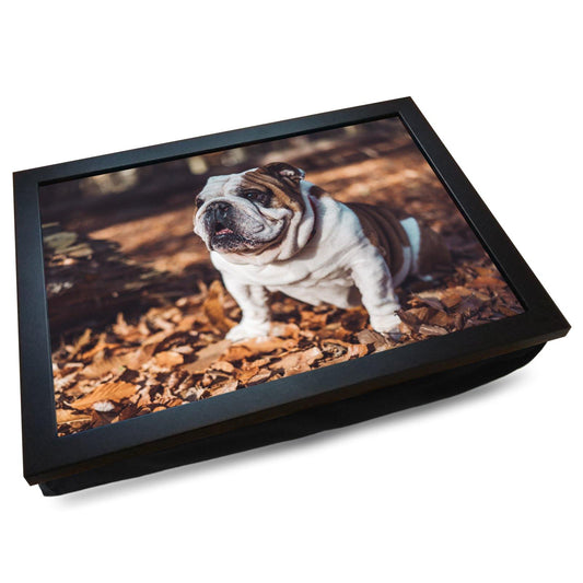 British Bulldog in the Autumn Leaves Cushioned Lap Tray - my personalised lap tray | mooki   -   
