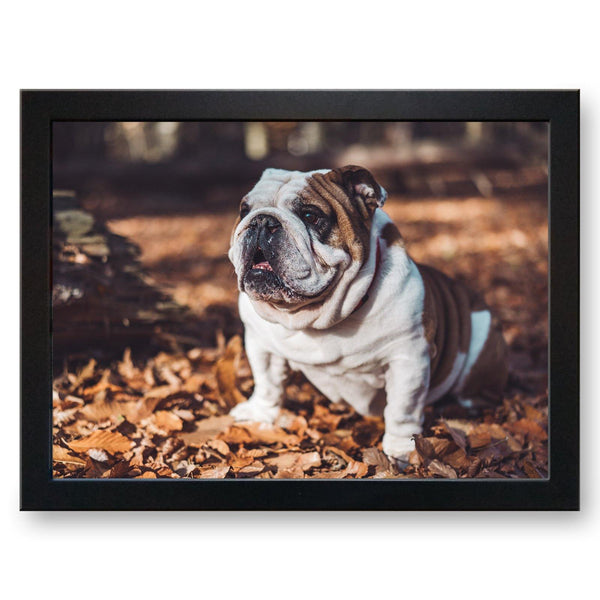 Load image into Gallery viewer, British Bulldog in the Autumn Leaves Cushioned Lap Tray - my personalised lap tray | mooki   -   
