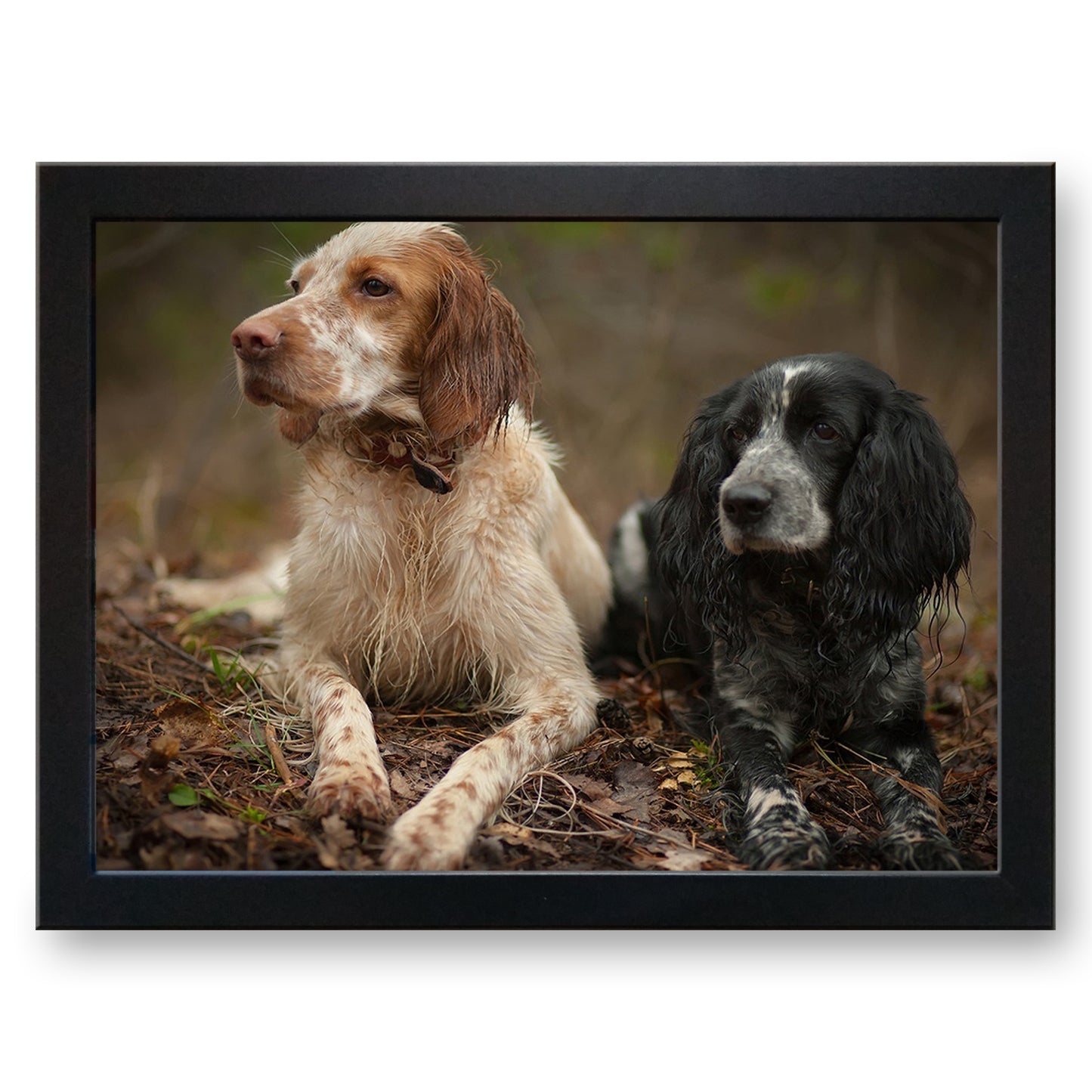 Pair of Spaniel Dogs Cushioned Lap Tray - my personalised lap tray | mooki   -   