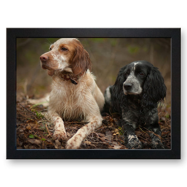 Load image into Gallery viewer, Pair of Spaniel Dogs Cushioned Lap Tray - my personalised lap tray | mooki   -   
