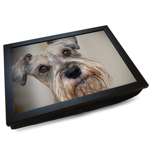 Schnauzer Dog Cushioned Lap Tray - my personalised lap tray | mooki   -   