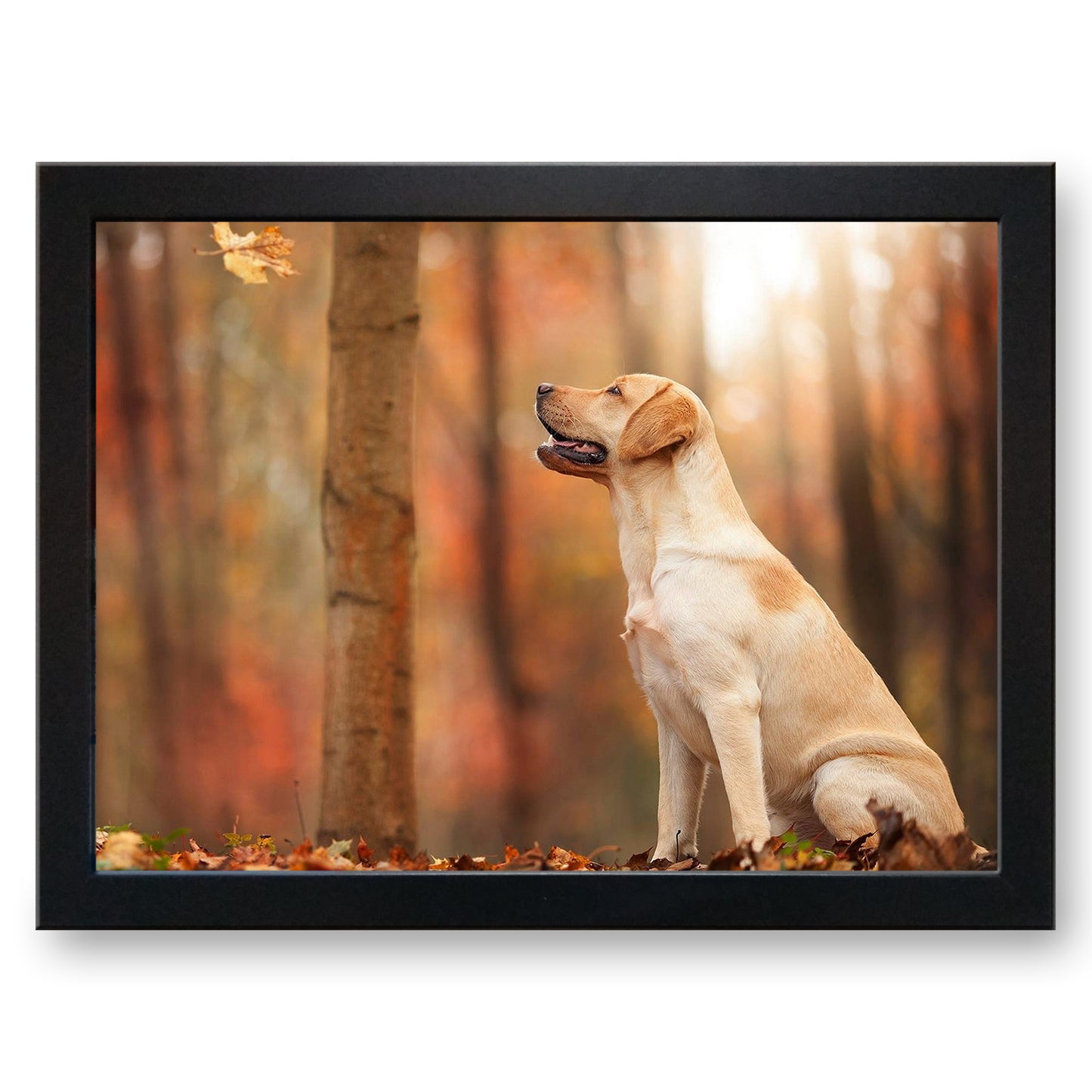 Labrador Dog in the Autumn Forest Cushioned Lap Tray - my personalised lap tray | mooki   -   