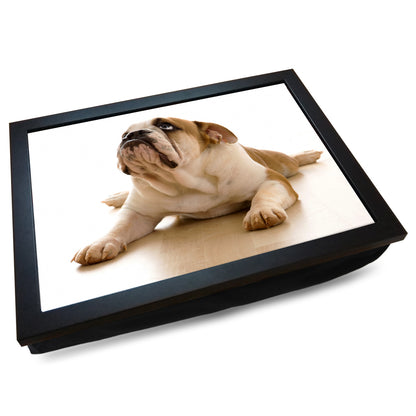 British Bulldog Cushioned Lap Tray