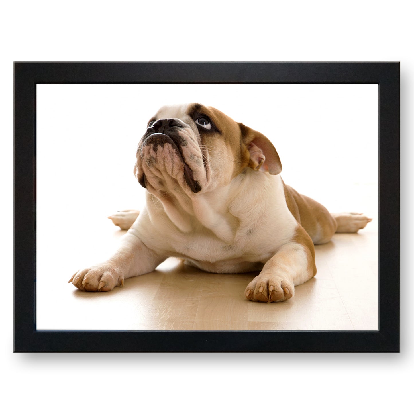 British Bulldog Cushioned Lap Tray