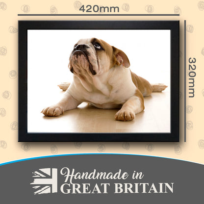 British Bulldog Cushioned Lap Tray