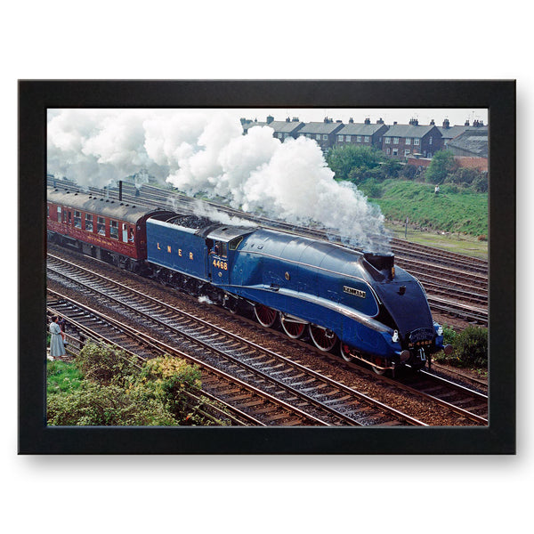 Load image into Gallery viewer, The Mallard Class A4 Steam Train Cushioned Lap Tray - my personalised lap tray | mooki   -   

