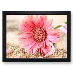 Pink Gerbina Daisy Flower Cushioned Lap Tray